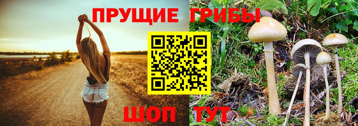 Псилоцибиновые грибы прущие грибы  Вход с VPN  Орехово-Зуево 